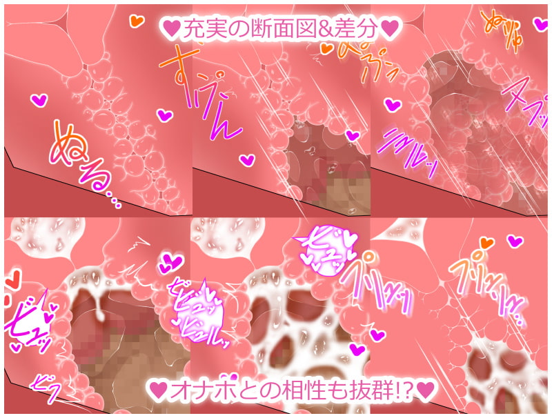 膣出しこれくしょん6 ~あの娘のお尻しか見たくない!~