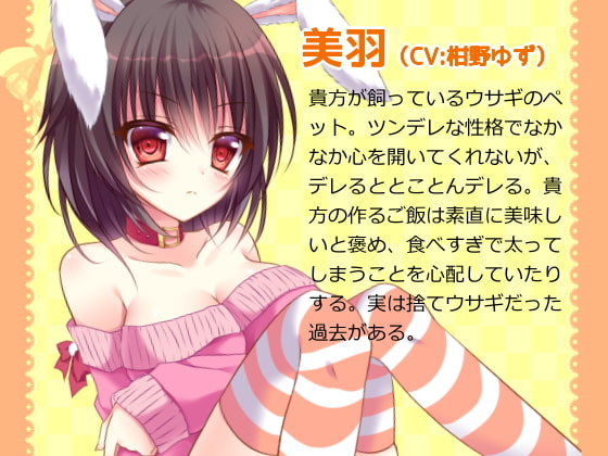 ツンデレなウサ耳っ娘と触れ合いエッチしちゃいました