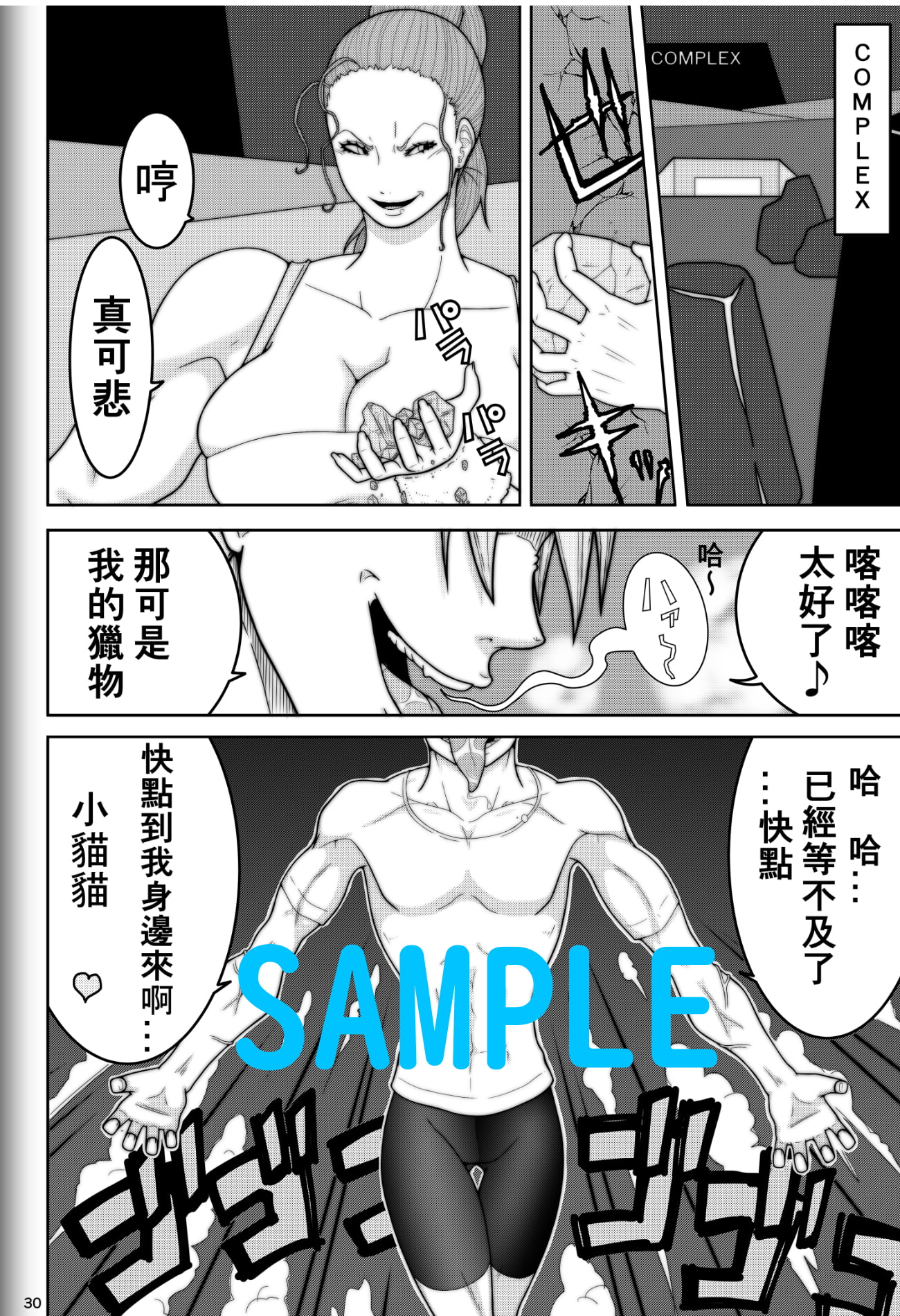 Fighting Game New (+中文繁体字)