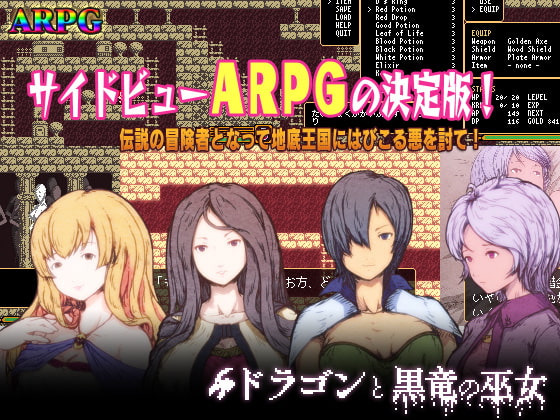 ドラゴンと黒竜の巫女