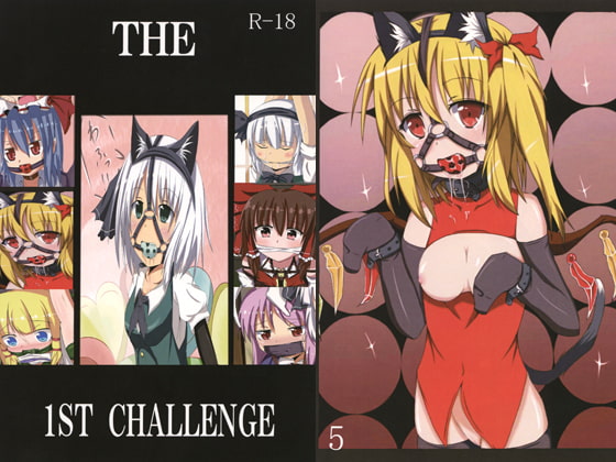 THE 1ST CHALLENGE