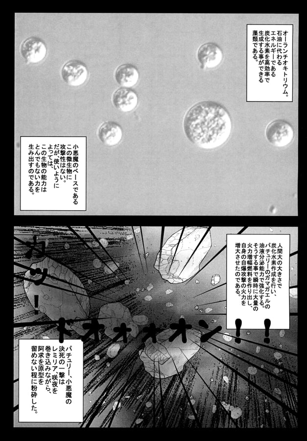 東方フォーマーズ6