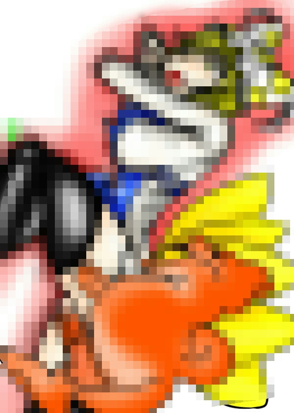 鳥なき島の兎と猫と狐と妖怪