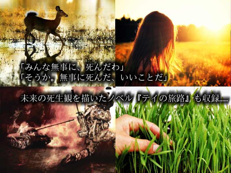 ピュアリィ・フラグメント