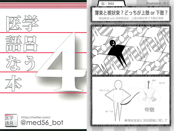 医学語呂なう本4
