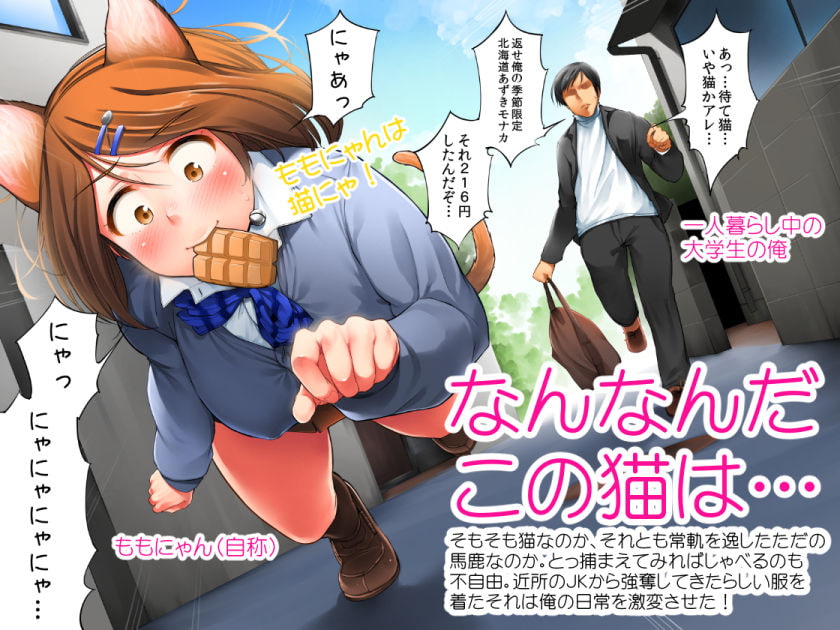 ももにゃんの躾けかた