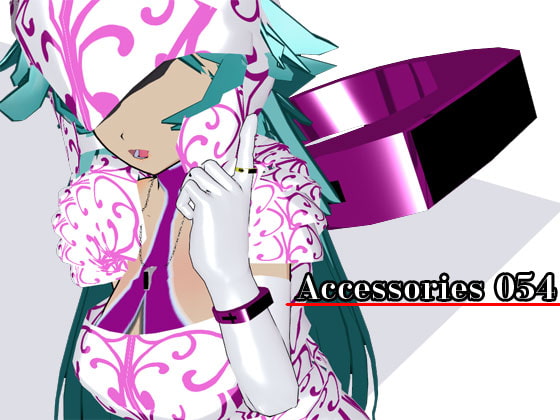 Accessories 054