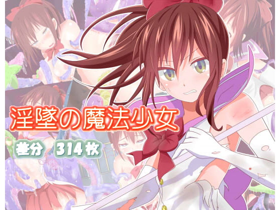 淫堕の魔法少女