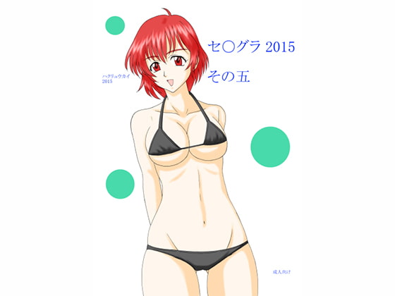 セ○グラ 2015 その五