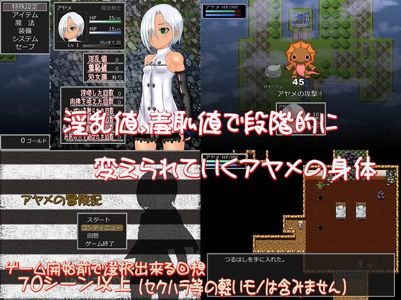 アヤメの冒険記 ~師匠の本を求めて~