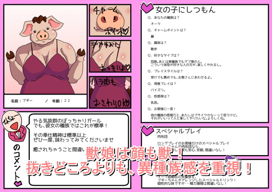 超優良異種族デリヘル『いしゅかん!』