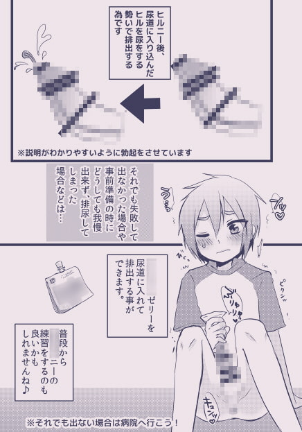 ヒルニーのススメ