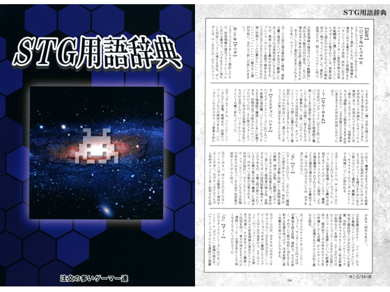 STG用語辞典