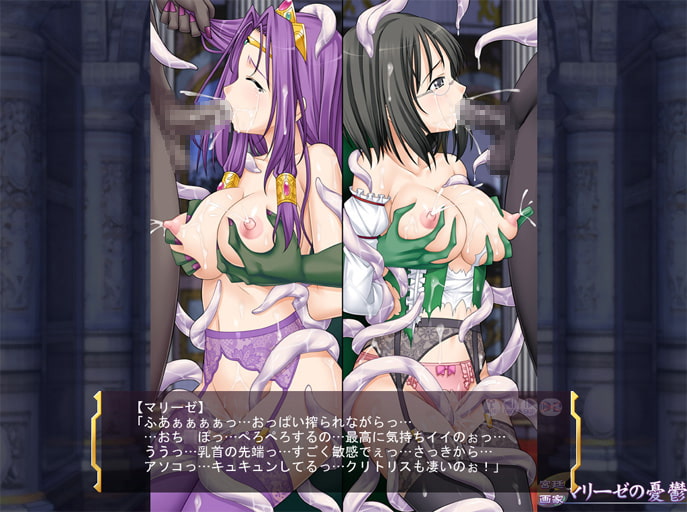 宮廷画家マリーゼの憂鬱