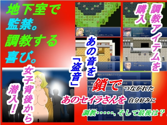 ★調教RPGゲーム『セイラを自宅監禁してやりまくり』