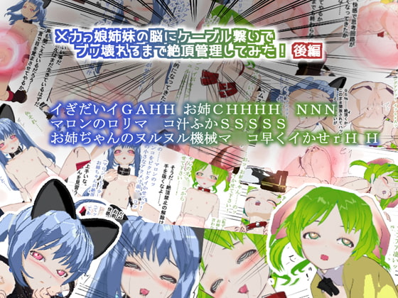 メカっ娘姉妹の脳にケーブル繋いでブッ壊れるまで絶頂管理してみた! 後編
