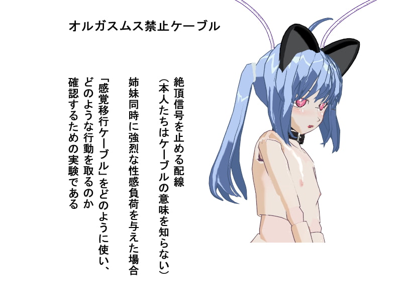 メカっ娘姉妹の脳にケーブル繋いでブッ壊れるまで絶頂管理してみた! 後編