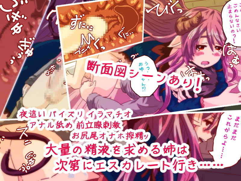 そして、実姉サキュバスに身を捧げたら