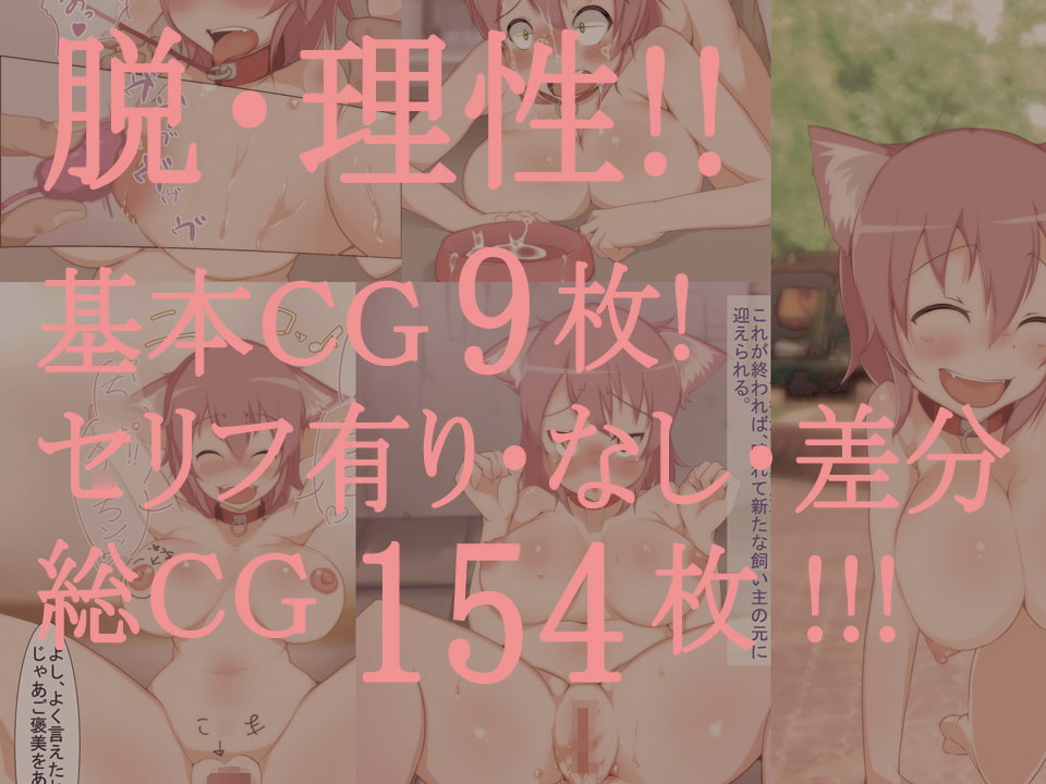 犬のしあわせ Vol.わんっ