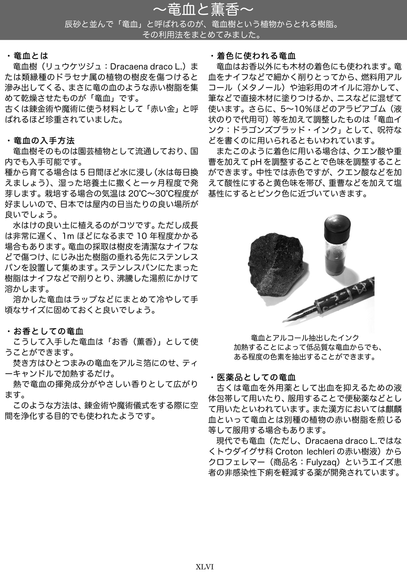 れんきんじゅつの教科書