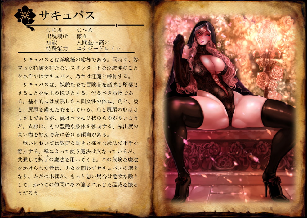 幻想世界魔物大全1 サキュバス