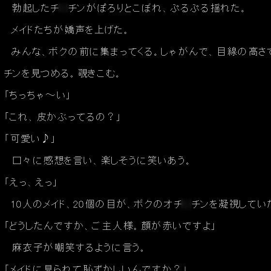 メイドさん14人と絶倫ショタご主人様