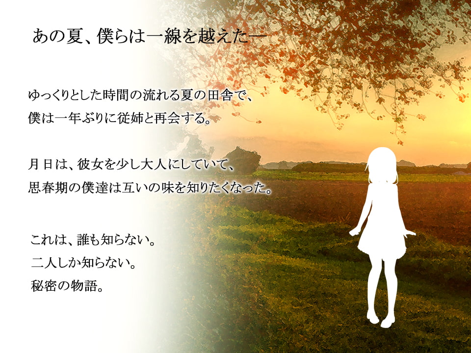 田舎の夏休み ～従姉と過ごす秘密の一週間～ Ver1.0.0