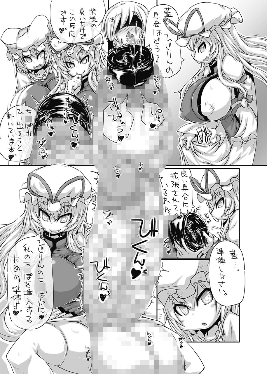 八雲家のおもちゃ