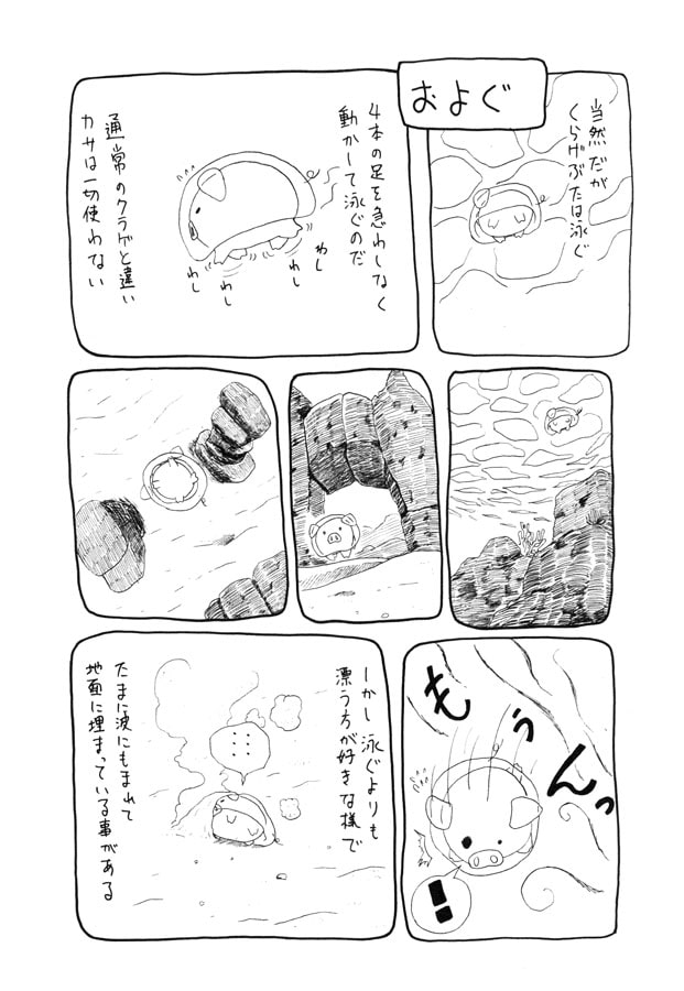 くらげぶた