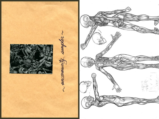 unccommunity sampler