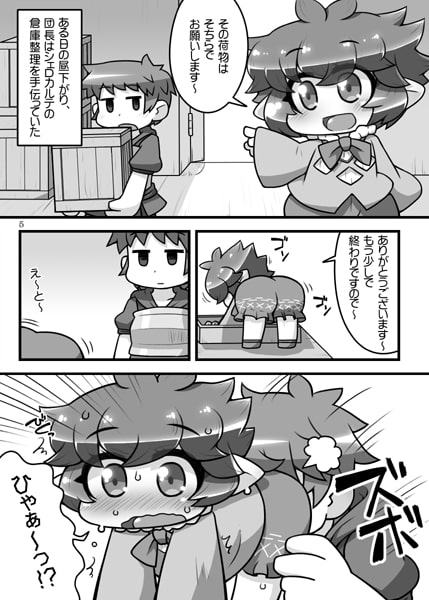 シェロカルテファンタジー・クロニクル