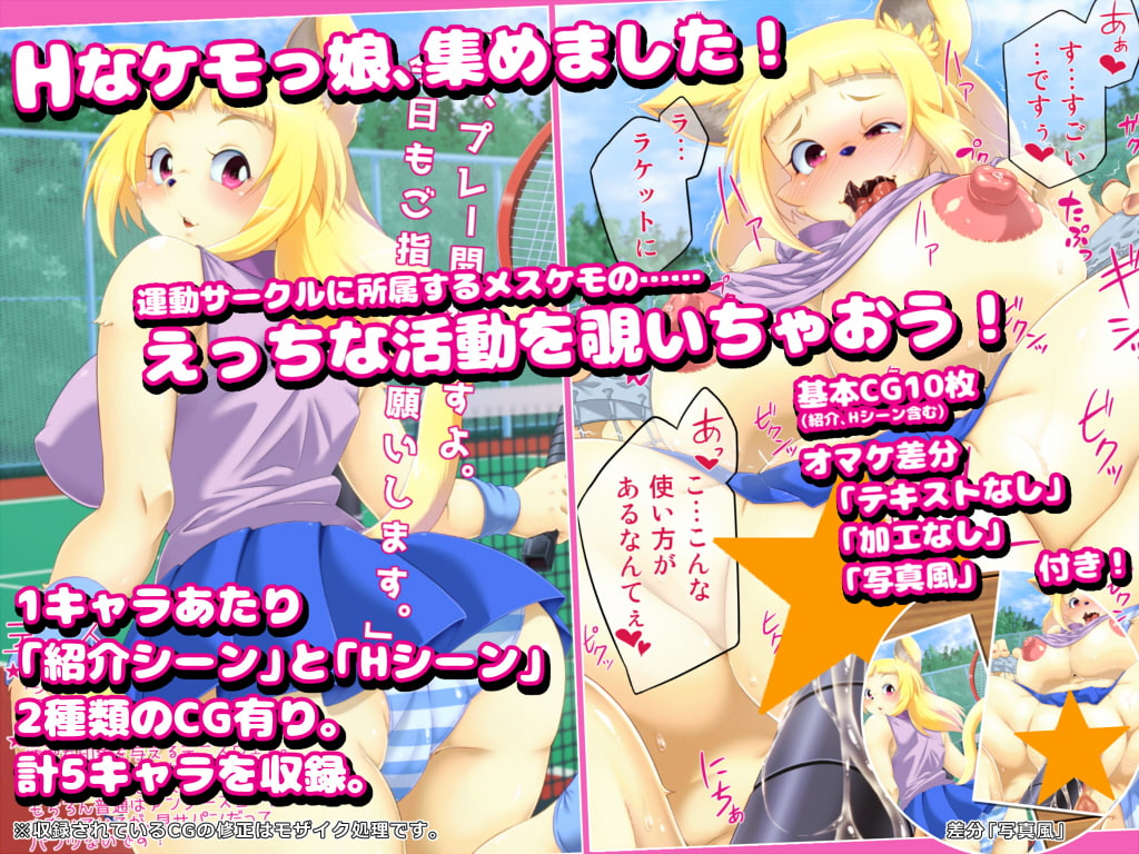 ケモっ娘カタログvol.1 ～運動サークル編～