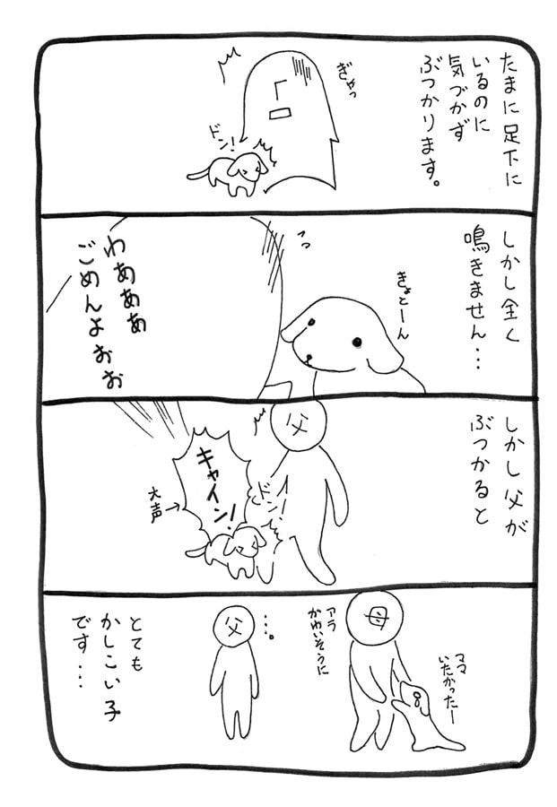 うちのマリブたん