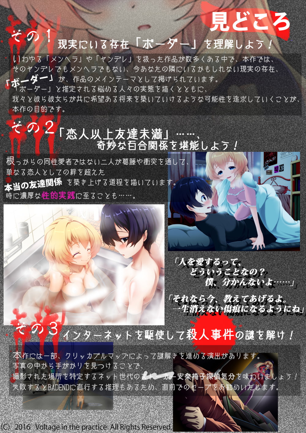 Borderline Detective