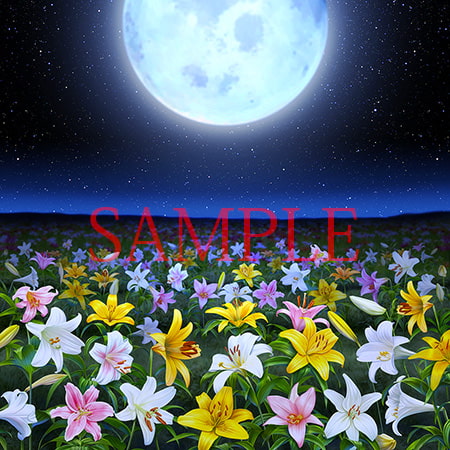 ゆりの野原とゆり素材