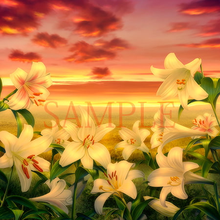 ゆりの野原とゆり素材