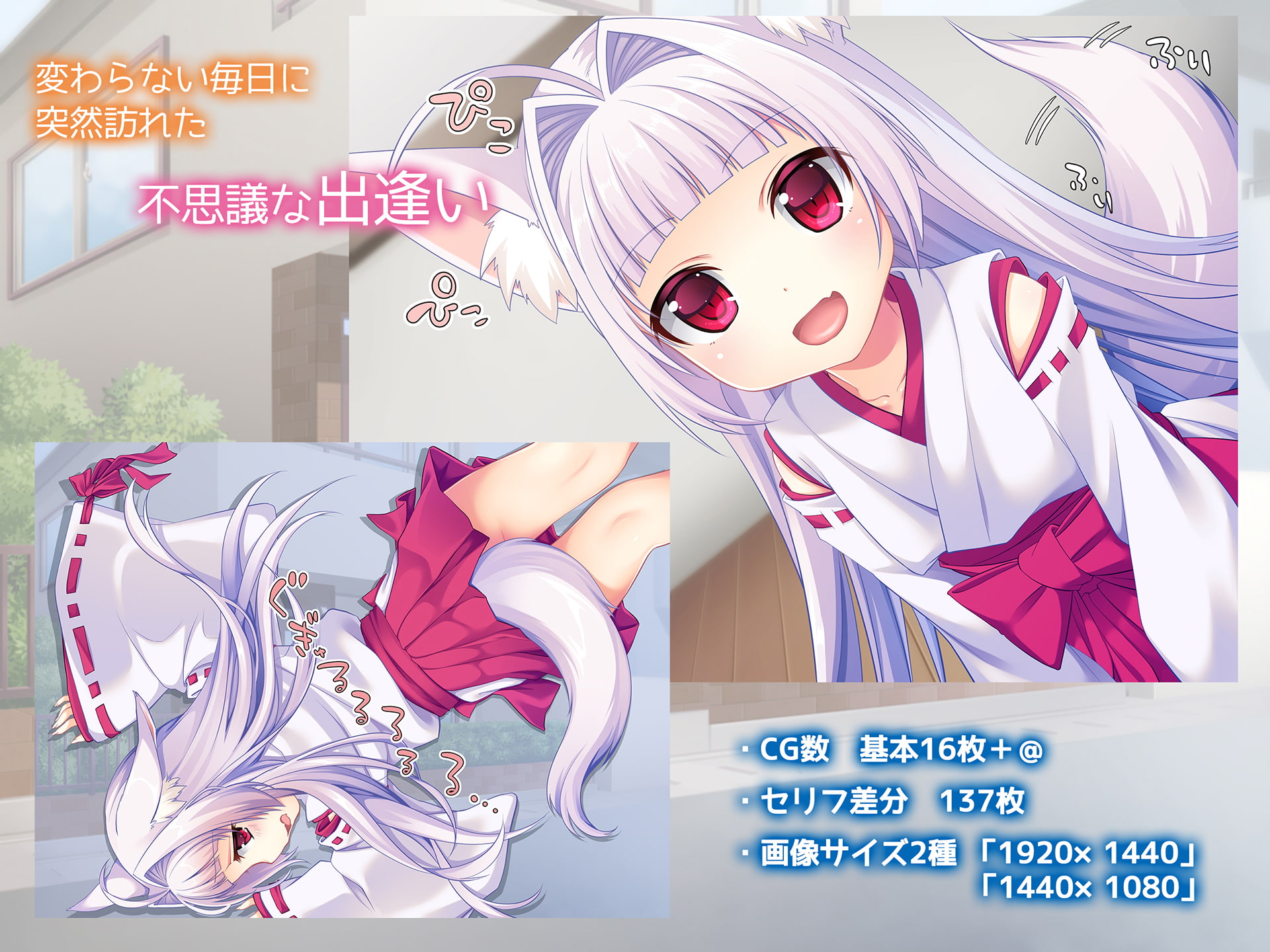 みこぱこ!しゅららちゃん もふもふロリ巫女とのイチャラブセックスライフ