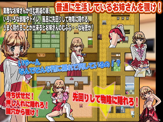 親戚の家に泊まりに行って綺麗なお姉さんを覗こう