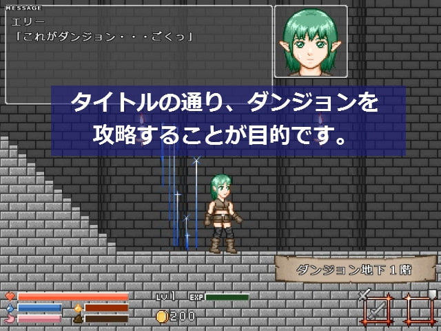 ダンジョンに挑む者たち