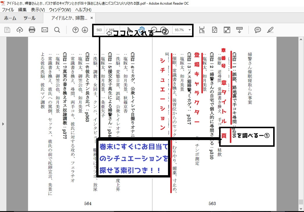 アイドルとか、婦警さんとか、バスケ部のキャプテンとかが四十路おじさん達にハメハメパコパコされる話