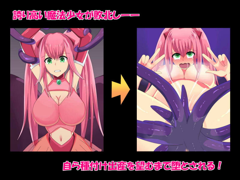 苗床魔法少女アニス