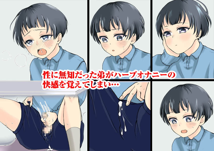 脱法ハーブでオナニーを覚えたばかりの弟が今では立派なケツマ○コ奴隷!!