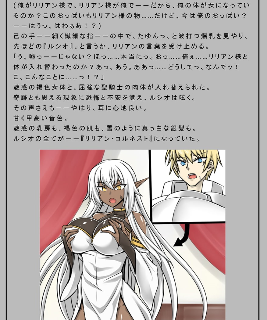 聖騎士の敗北~牝肉乃檻～