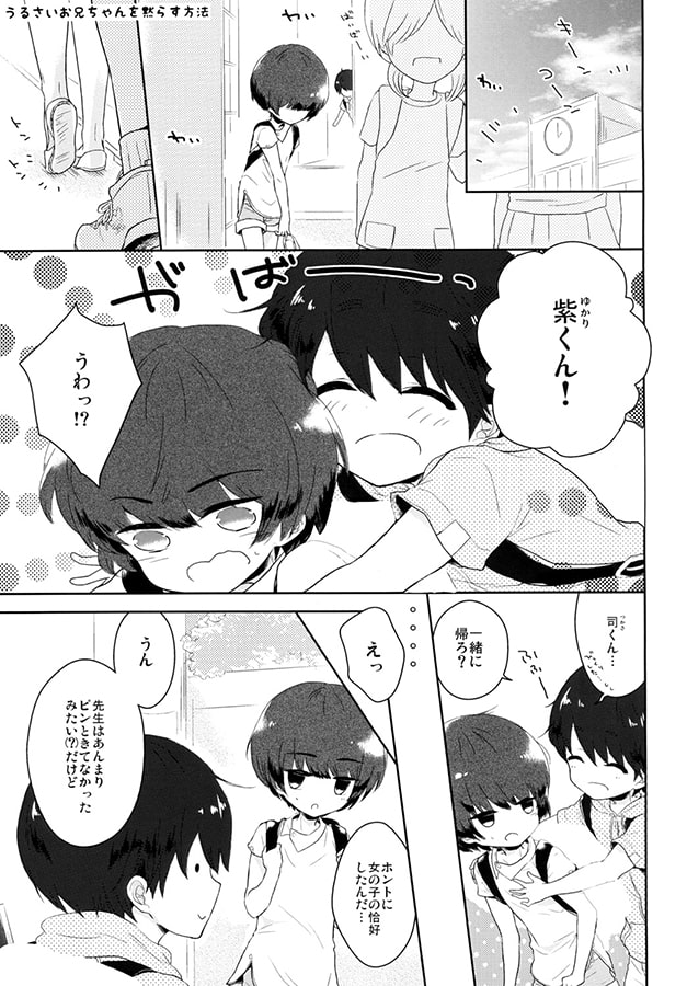 うるさいお兄ちゃんを黙らす方法