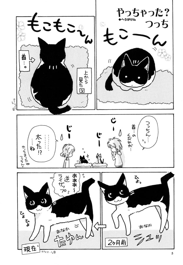 Hideki+ Number.54