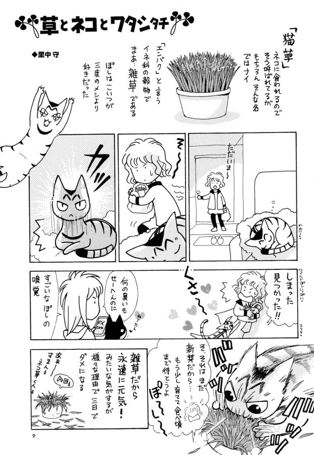 Hideki+ Number.54