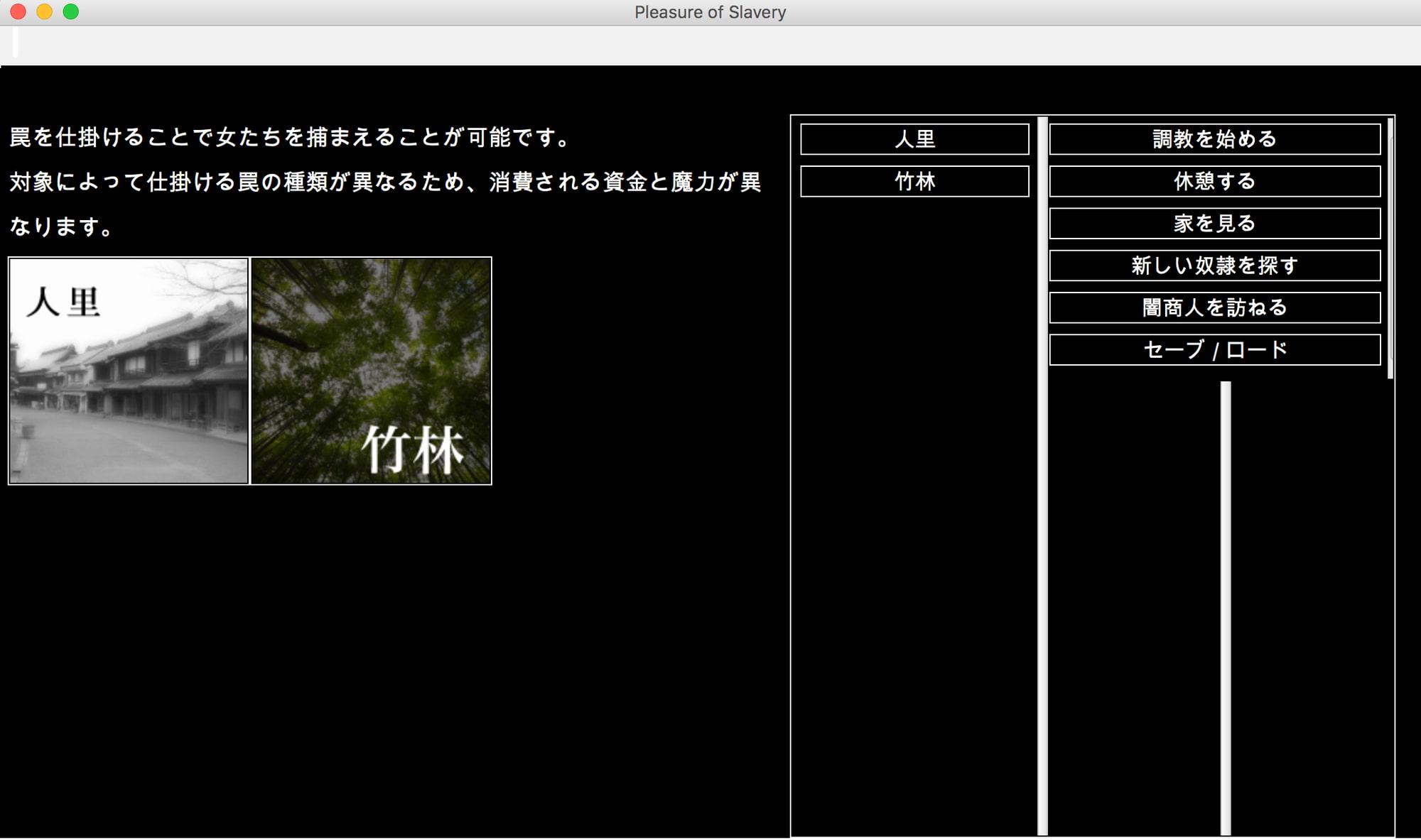 東方隷落記 穢された永遠亭