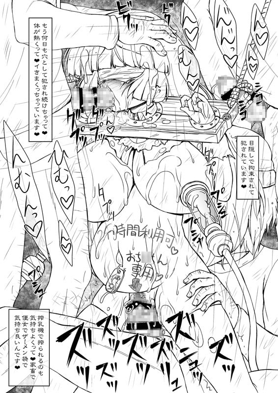 姫・淫女快楽モルモット