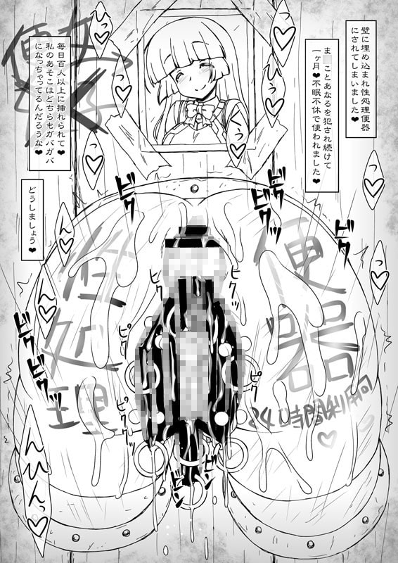 姫・淫女快楽モルモット