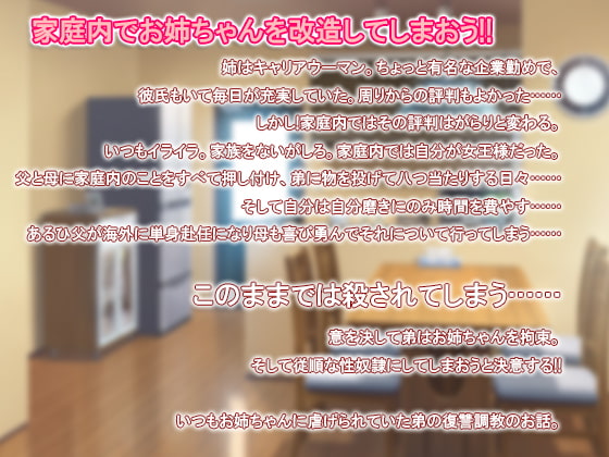 家庭内改造!!エッチな姉の作り方